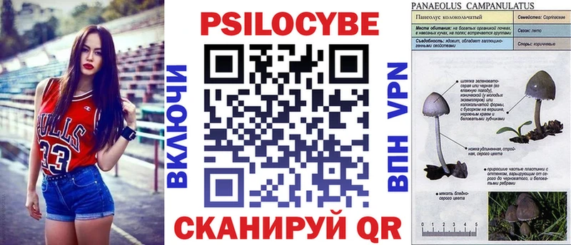 Псилоцибиновые грибы мухоморы  Купить где  Конаково 
